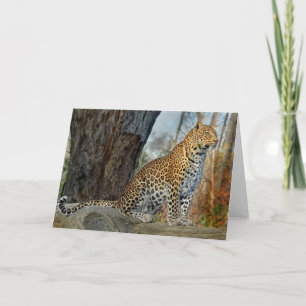 Leopard Profile Kort