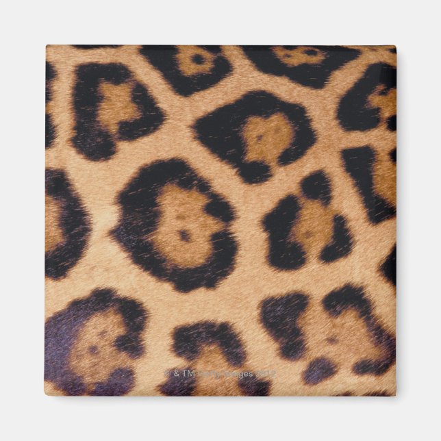 Leopard skin magnet (Framsidan)