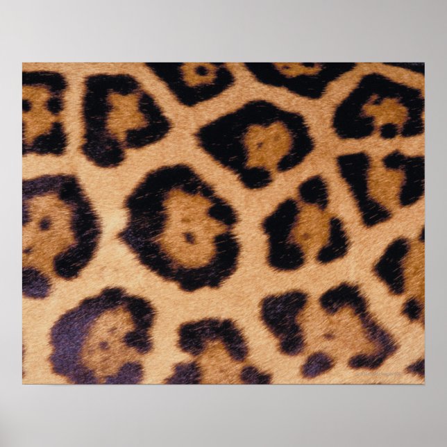 Leopard skin poster (Framsidan)