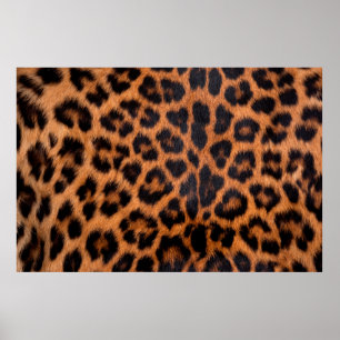 Leopard skin struktur : Leopard spot patte Poster