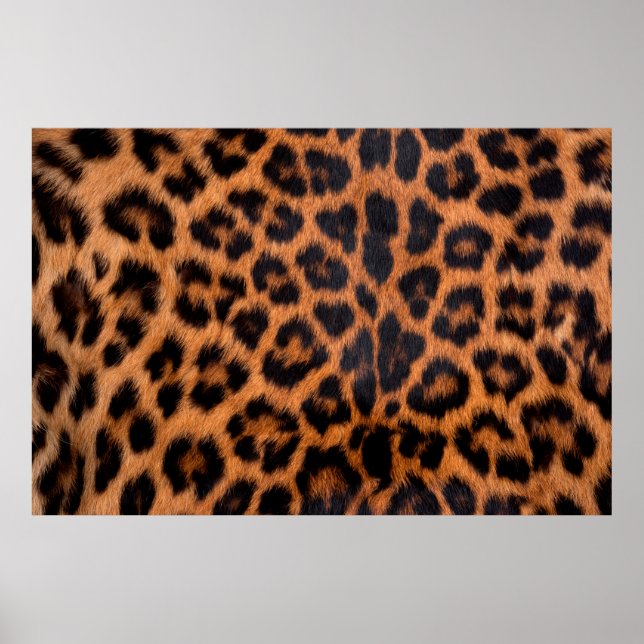 Leopard skin struktur : Leopard spot patte Poster (Framsidan)