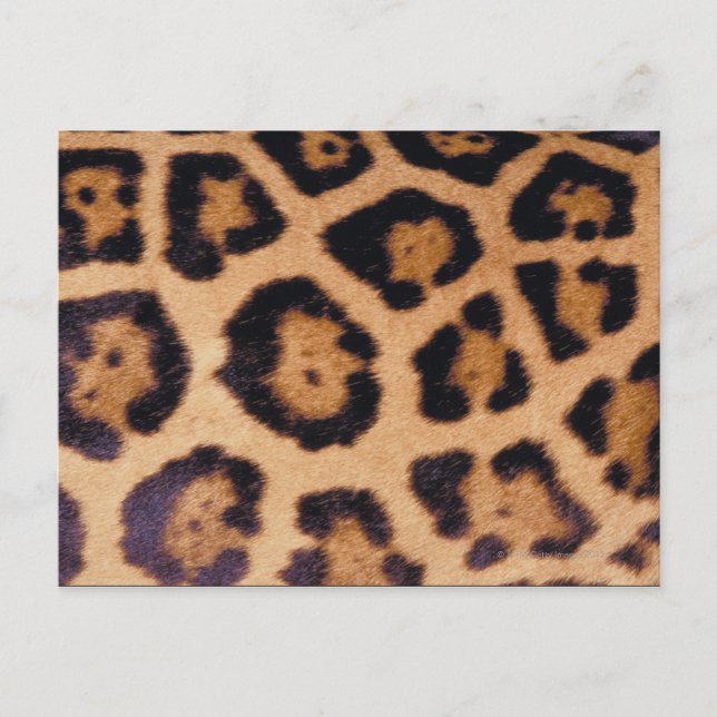 Leopard skin vykort (Framsida)