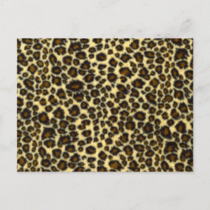 Leopard Skriv ut vykort