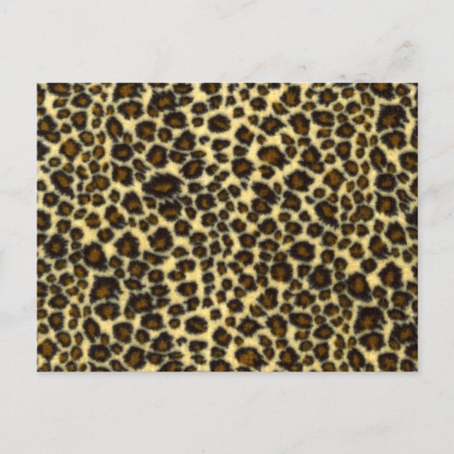 Leopard Skriv ut vykort (Framsida)