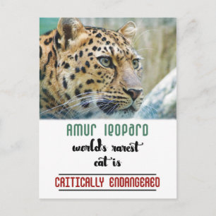 Leopard Skydda citatet av Wildlife Vykort