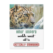 Leopard Skydda citatet av Wildlife