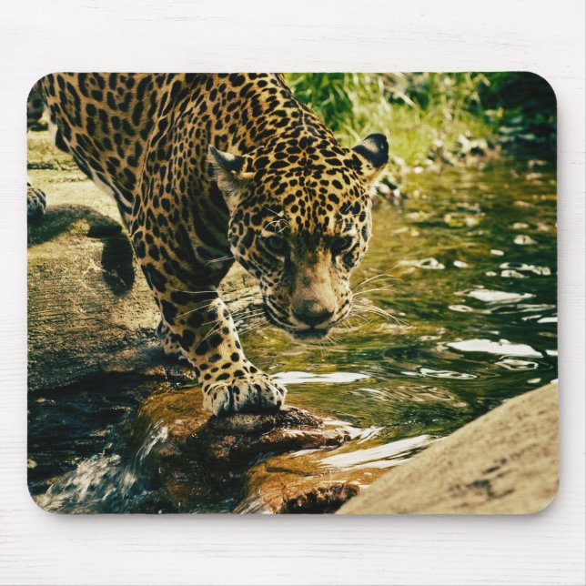 Leopard som passerar ett strömfoto musmatta (Framsidan)