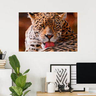 Leopard städning poster
