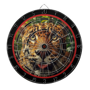 Leopard Stares in in Jungle Regulation Darttavla