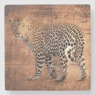 Leopard Stenunderlägg