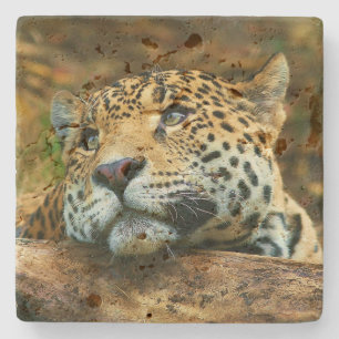 Leopard Stone Underlägg
