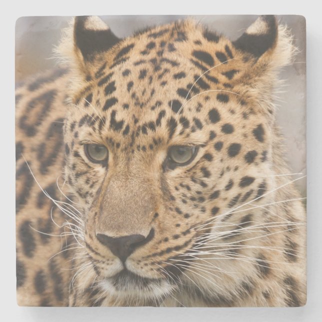 Leopard Stone Underlägg Sten (Framsidan)