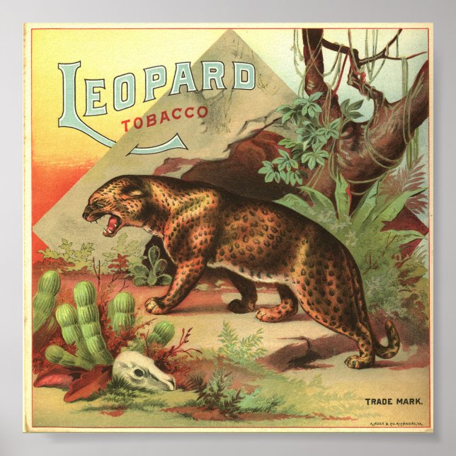 Leopard Tobacco 1900 Poster (Framsidan)