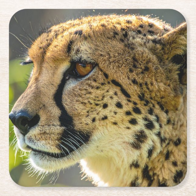 leopard underlägg papper kvadrat (Framsidan)