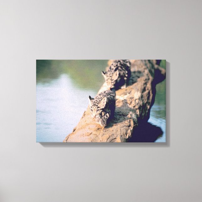 Leopard unge i loggboken canvastryck (Framsida)