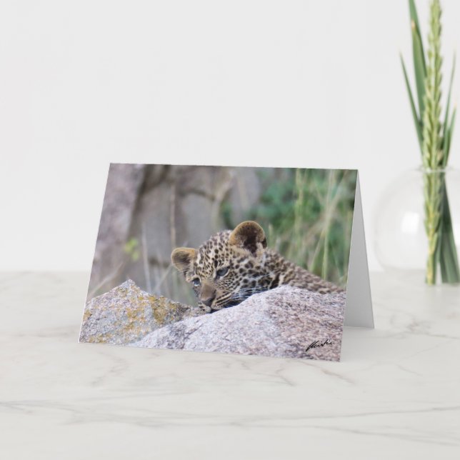 Leopard Unge Kort (Framsida)
