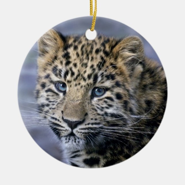 Leopard Unge Ornament (Framsidan)