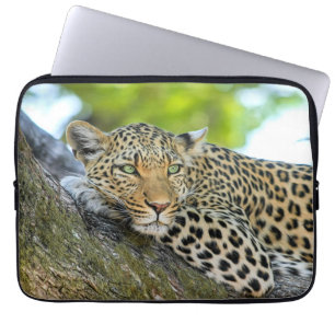 Leopard vilar i träd laptop fodral