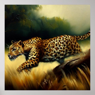 Leopard Vild katt Porträtt Poster