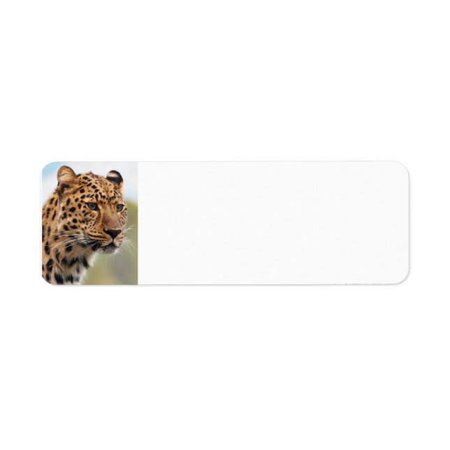 Leopard Vild katt Returadress Etikett (Framsidan)