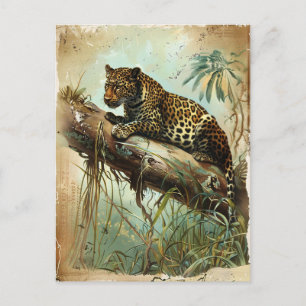 Leopard Vintage Vykort