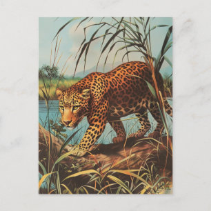 Leopard Vintage Vykort