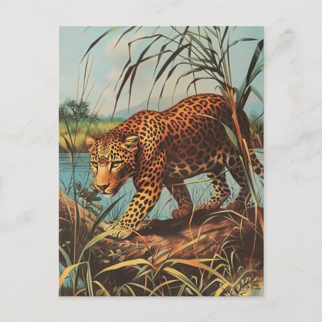 Leopard Vintage Vykort (Framsida)