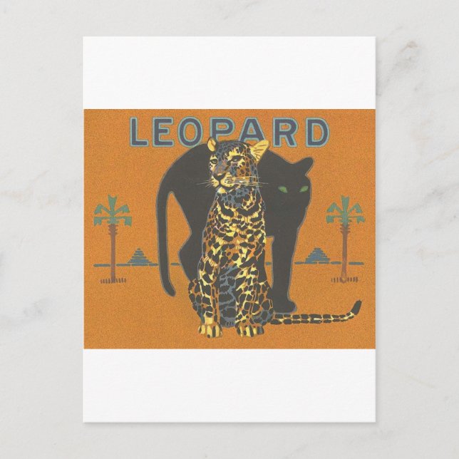 Leopard Vintage Vykort (Framsida)