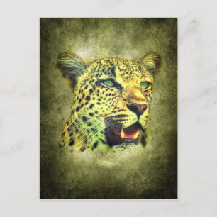 Leopard Vykort