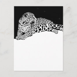 Leopard Vykort