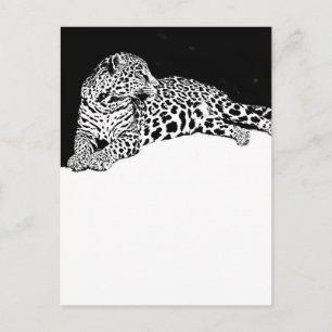 Leopard Vykort
