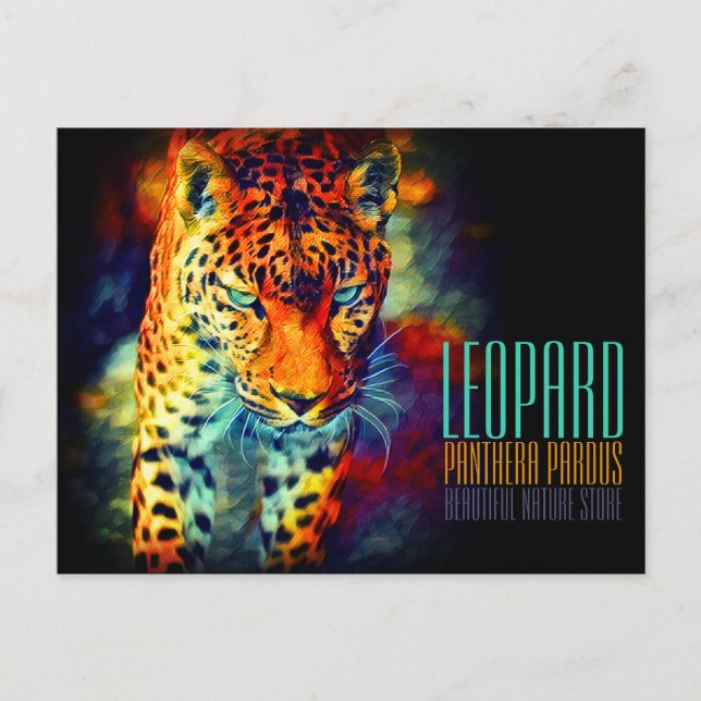 Leopard [vykort] vykort (Framsida)
