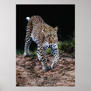 LEOPARD WALKING IN VILD POSTER