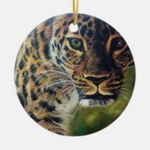 Leopard Walking vid Sunset