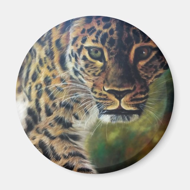 Leopard Walking vid Sunset Magnet (Framsidan)
