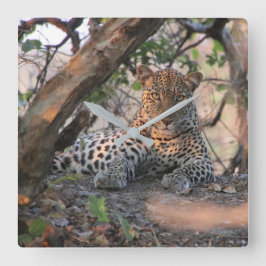 Leopard Wall Clock Fyrkantig Klocka