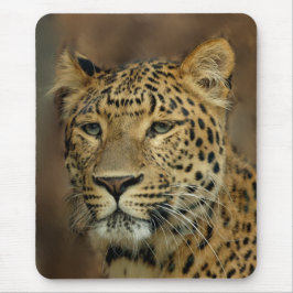leopardälskarars konst musmatta
