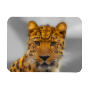 Leopardansikte Magnet