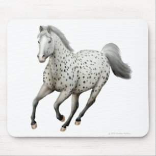LeopardAppaloosahäst Mousepad Musmatta