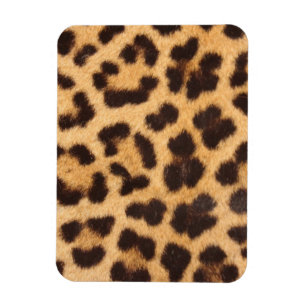 Leoparddjur flår trycket magnet