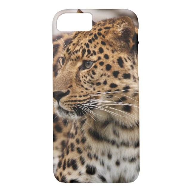 Leoparden Case-Mate iPhone Skal (Baksida)