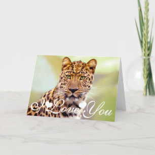 Leoparden fotograferar avbildar mig älskar dig kort
