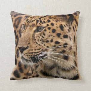 Leoparden Kudde
