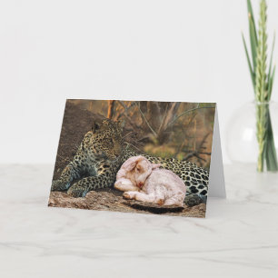 Leoparden ljuger besegrar med lamb-Isaiahen 11 Kort