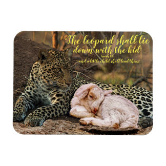 Leoparden ljuger besegrar med lamb-Isaiahen 11 Magnet