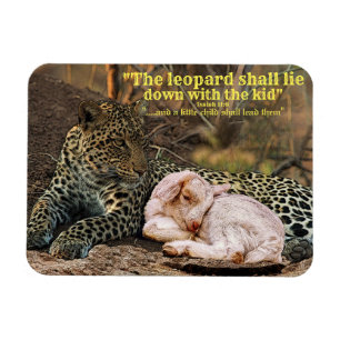 Leoparden ljuger besegrar med lamb-Isaiahen 11 Magnet