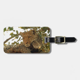 Leoparden på vilar bagagebricka