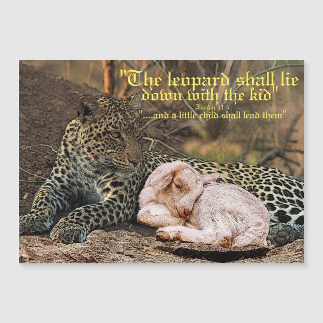 Leoparden ska ljuga ner med lammen-Isaiah 11 (Framsida)