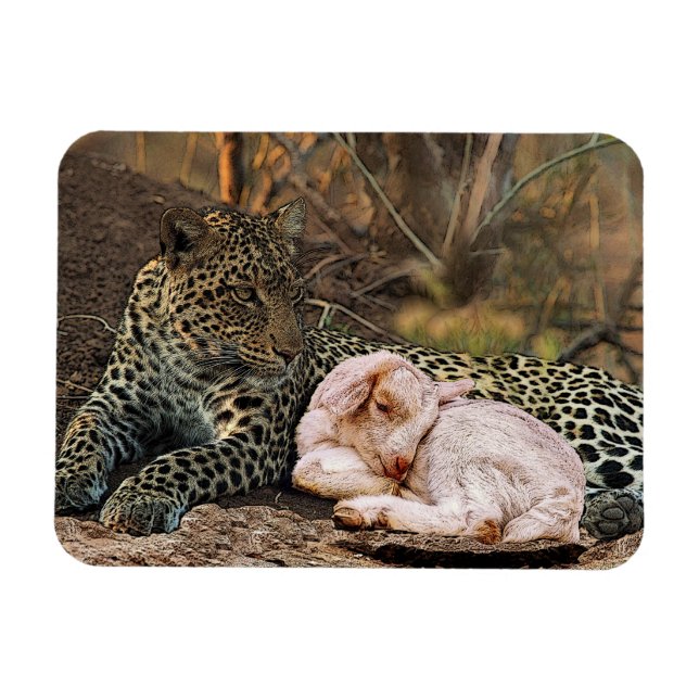 Leoparden ska ljuga ner med lammen-Isaiah 11 Magnet (Horisontell)