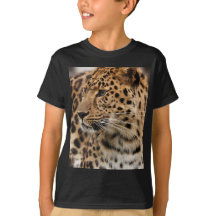 Leoparden